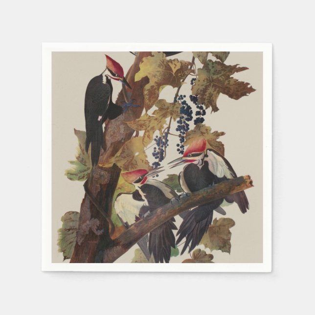 Audubon Pileated Woodpecker Bird Painting Napkin (Front)