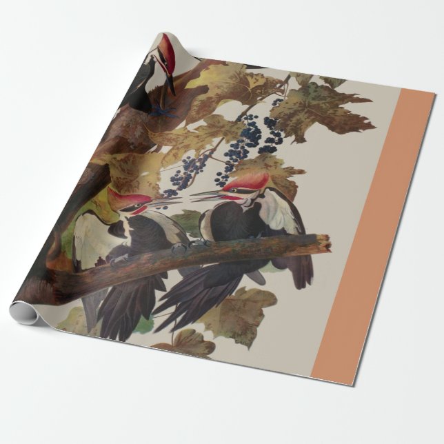 Audubon Pileated Woodpecker Bird Painting Wrapping Paper (Unrolled)