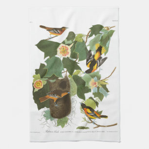 Audubon Plate 12 Baltimore Oriole Tea Towel