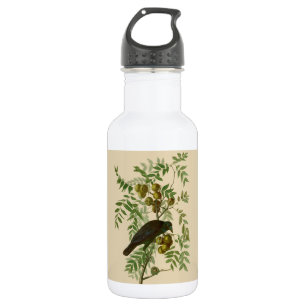 Audubon Purple Grackle Bird Print Vintage Botanic 532 Ml Water Bottle
