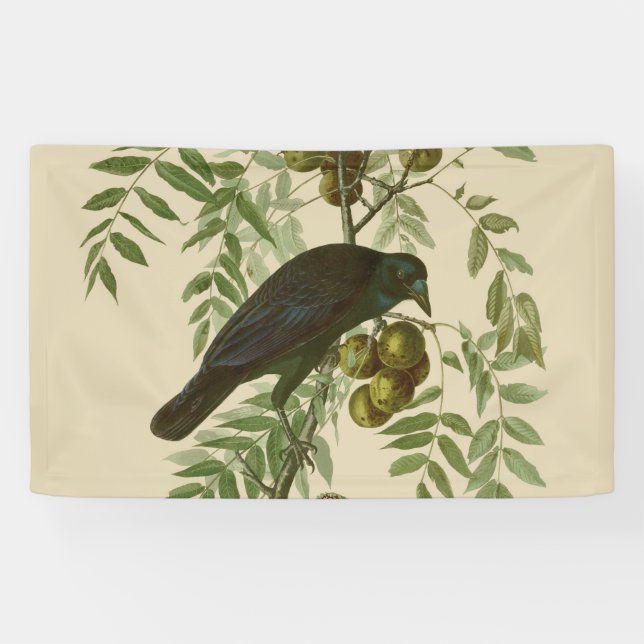 Audubon Purple Grackle Bird Print Vintage Botanic Banner (Horizontal)