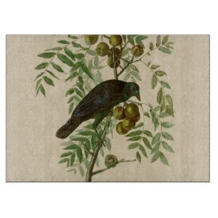 Audubon Purple Grackle Bird Print Vintage Botanic Cutting Board