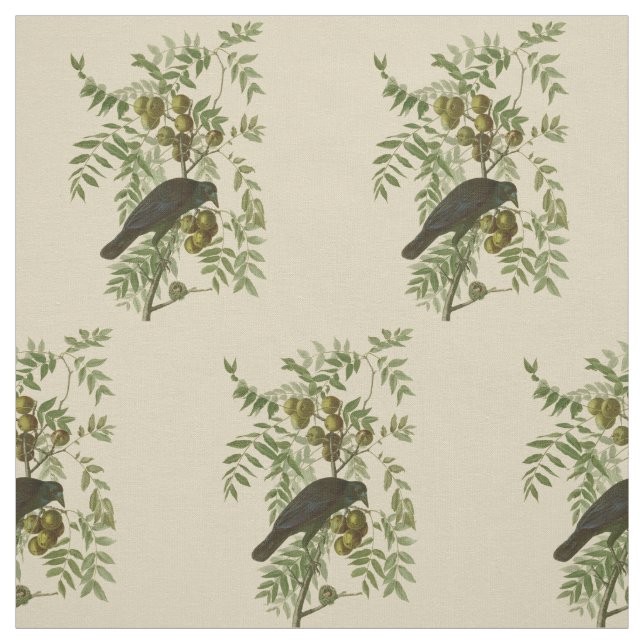 Audubon Purple Grackle Bird Print Vintage Botanic Fabric (Swatch)