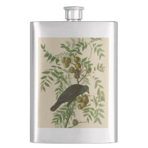Audubon Purple Grackle Bird Print Vintage Botanic Hip Flask