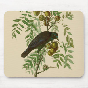 Audubon Purple Grackle Bird Print Vintage Botanic Mouse Mat