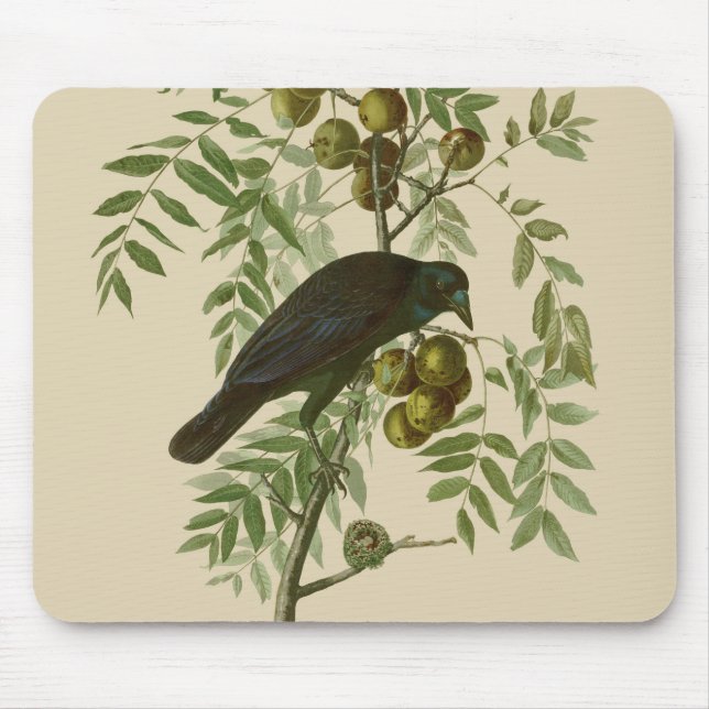 Audubon Purple Grackle Bird Print Vintage Botanic Mouse Mat (Front)