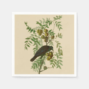 Audubon Purple Grackle Bird Print Vintage Botanic Napkin