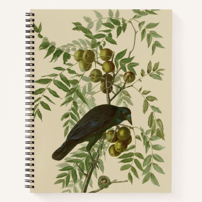 Audubon Purple Grackle Bird Print Vintage Botanic Notebook (Front)