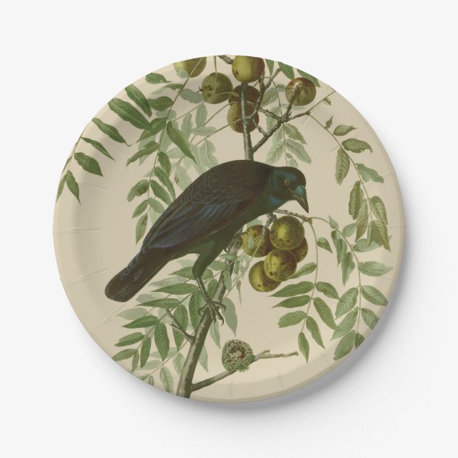 Audubon Purple Grackle Bird Print Vintage Botanic Paper Plate (Front)