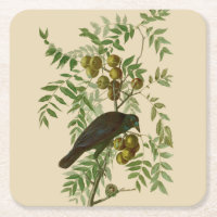 Audubon Purple Grackle Bird Print Vintage Botanic