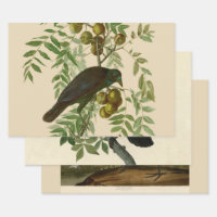 Audubon Purple Grackle Bird Print Vintage Botanic