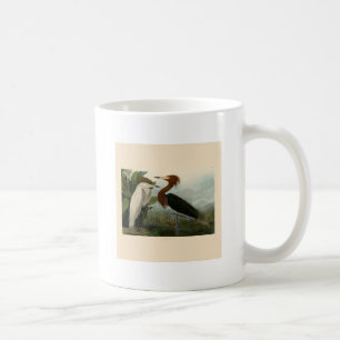 Audubon Purple Heron Reddish Egret Print: Bird Art Coffee Mug