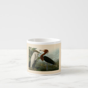 Audubon Purple Heron Reddish Egret Print: Bird Art Espresso Cup