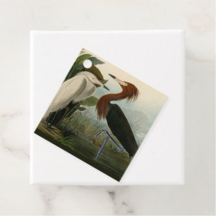 Audubon Purple Heron Reddish Egret Print: Bird Art Favour Tags