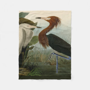 Audubon Purple Heron Reddish Egret Print: Bird Art Fleece Blanket