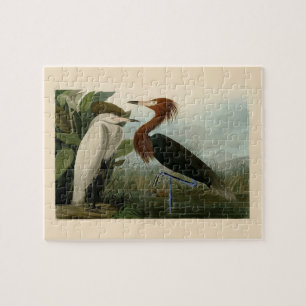 Audubon Purple Heron Reddish Egret Print: Bird Art Jigsaw Puzzle