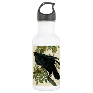 Audubon Raven Bird Classic Artwork 532 Ml Water Bottle