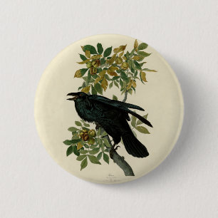 Audubon Raven Bird Classic Artwork 6 Cm Round Badge