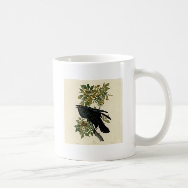 Audubon Raven Bird Classic Artwork Coffee Mug (Right)