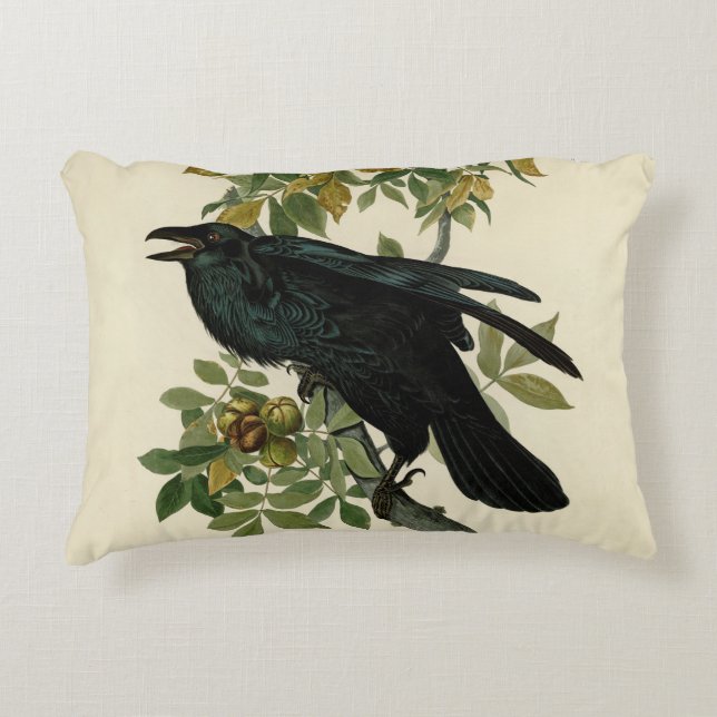 Audubon Raven Bird Classic Artwork Decorative Cushion (Front)