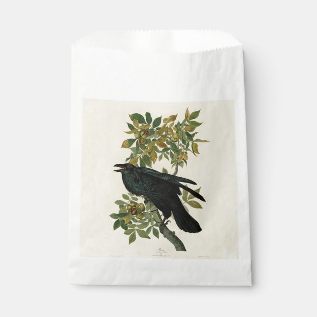 Audubon Raven Bird Classic Artwork Favour Bags (Front)