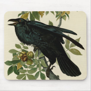 Audubon Raven Bird Classic Artwork Mouse Mat