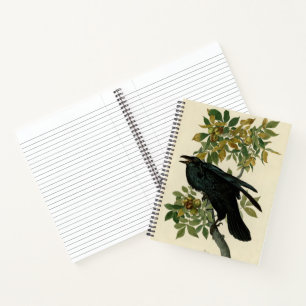 Audubon Raven Bird Classic Artwork Notebook