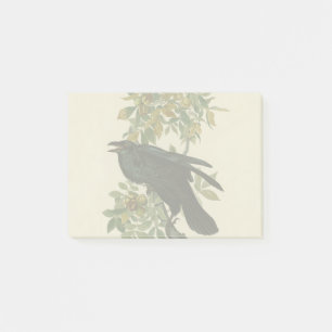 Audubon Raven Bird Classic Artwork Post-it Notes