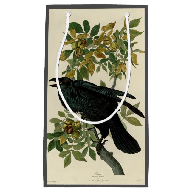 Audubon Raven Bird Classic Artwork Small Gift Bag (Front)