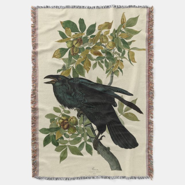Audubon Raven Bird Classic Artwork Throw Blanket (Front Vertical)