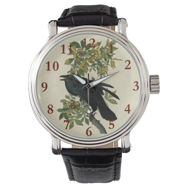Audubon Raven Bird Classic Artwork Watch (Front)
