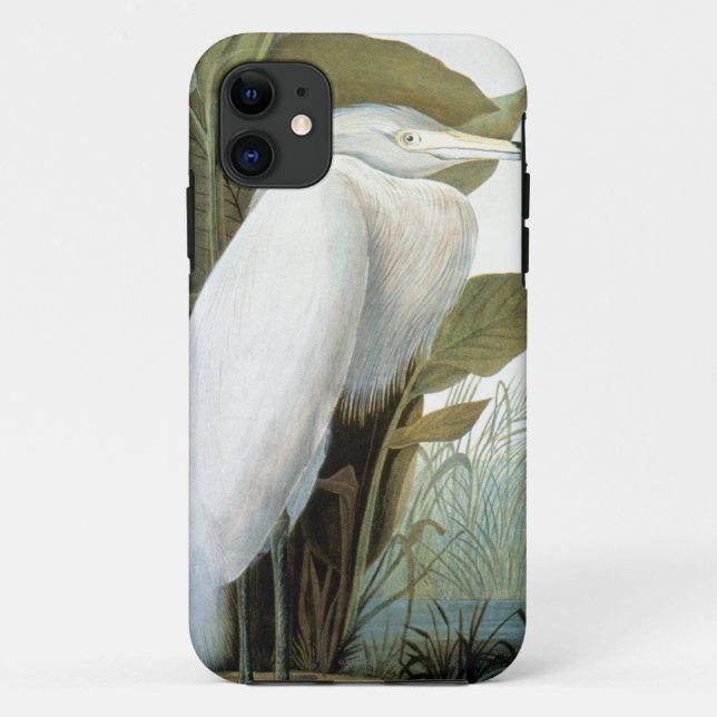 Audubon: Reddish Egret Or Purple Heron Case-Mate iPhone Case (Back)