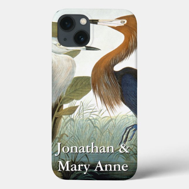 Audubon: Reddish Egret Or Purple Heron Case-Mate iPhone Case (Back)
