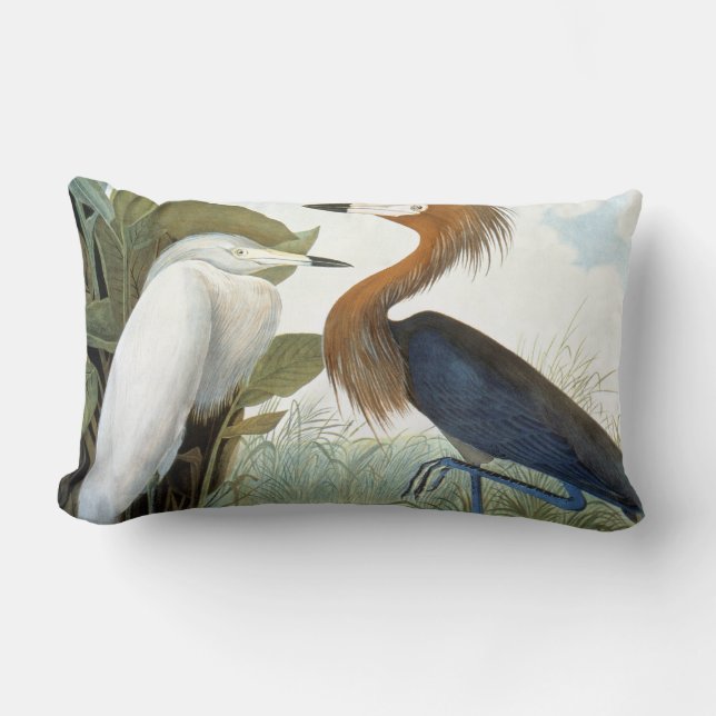Audubon: Reddish Egret Or Purple Heron Lumbar Cushion (Front)