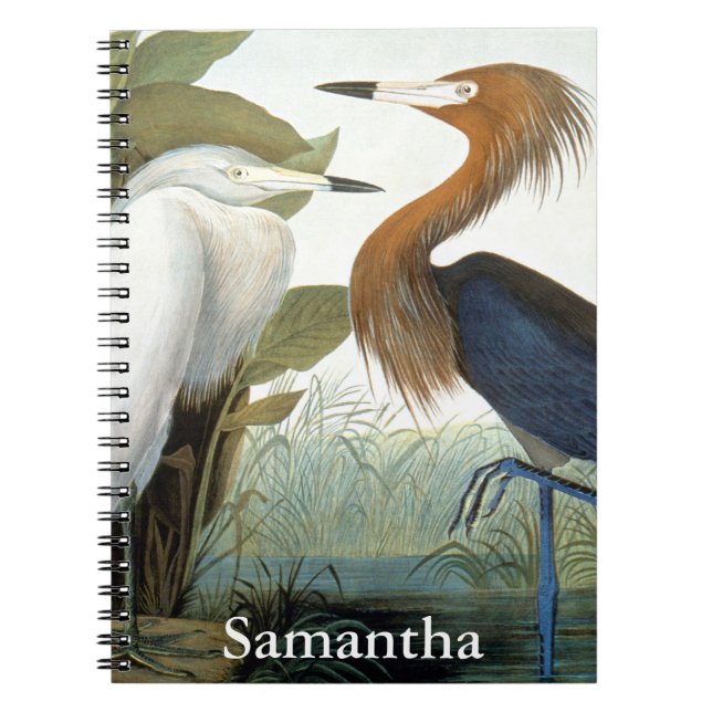 Audubon: Reddish Egret Or Purple Heron Notebook (Front)