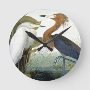 Audubon: Reddish Egret Or Purple Heron Round Clock