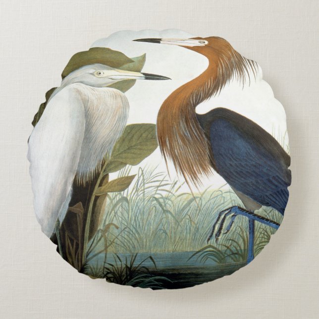 Audubon: Reddish Egret Or Purple Heron Round Cushion (Front)