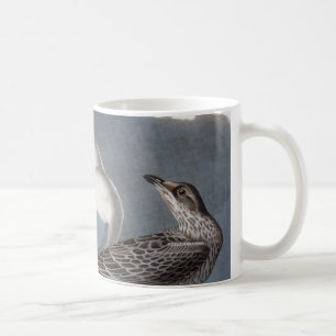 Audubon: Ring-Billed Gull Coffee Mug