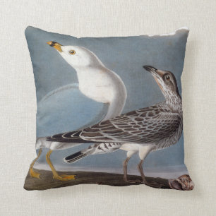 Audubon: Ring-Billed Gull Cushion