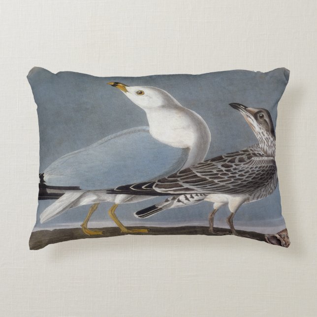Audubon: Ring-Billed Gull Decorative Cushion (Front)