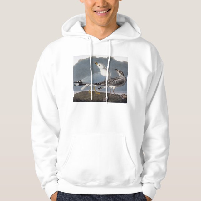 Audubon: Ring-Billed Gull Hoodie (Front)
