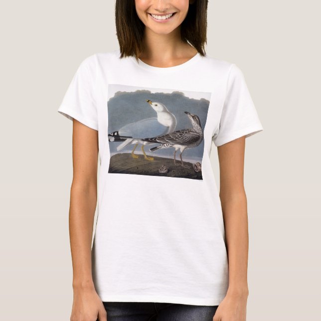 Audubon: Ring-Billed Gull T-Shirt (Front)