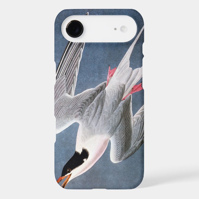 Audubon: Roseate Tern Case-Mate Samsung Galaxy Case (Back)