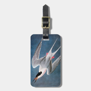 Audubon: Roseate Tern Luggage Tag