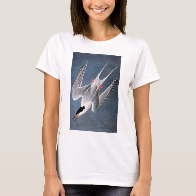 Audubon: Roseate Tern T-Shirt (Front)