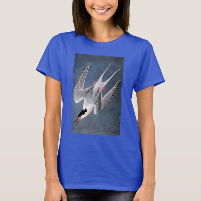 Audubon: Roseate Tern T-Shirt (Front)