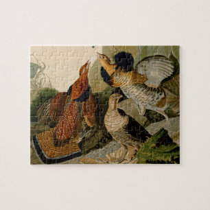 Audubon Ruffed Grouse Jigsaw Puzzle