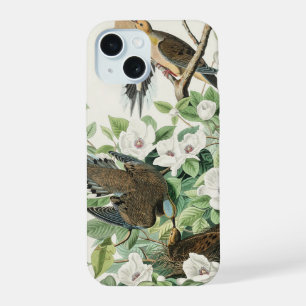 Audubon’s Morning Dove Carolina Pigeon Painting iPhone 15 Case