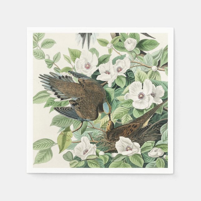 Audubon’s Morning Dove Carolina Pigeon Painting Napkin (Front)