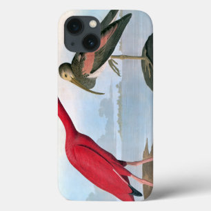 Audubon: Scarlet Ibis iPhone 13 Case
